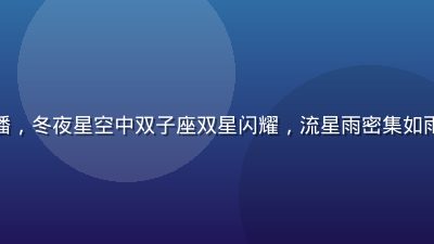 双子座流星雨年度收官直播，冬夜星空中双子座双星闪耀，流星雨密集如雨，星空无限年度天象盛典